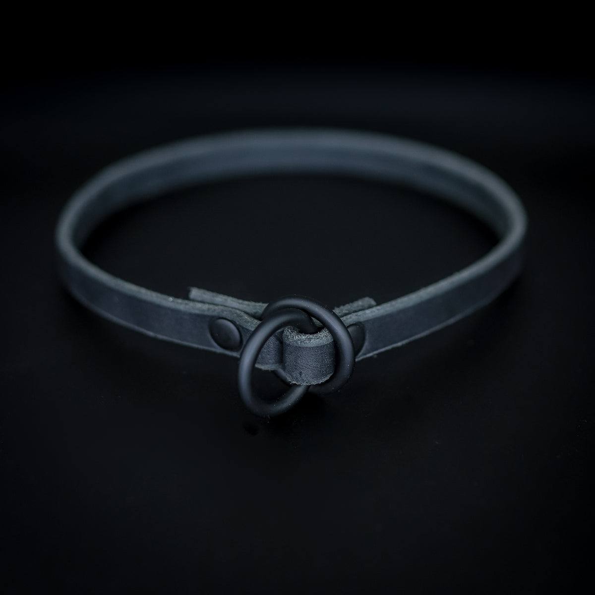 Leather Slip Collar