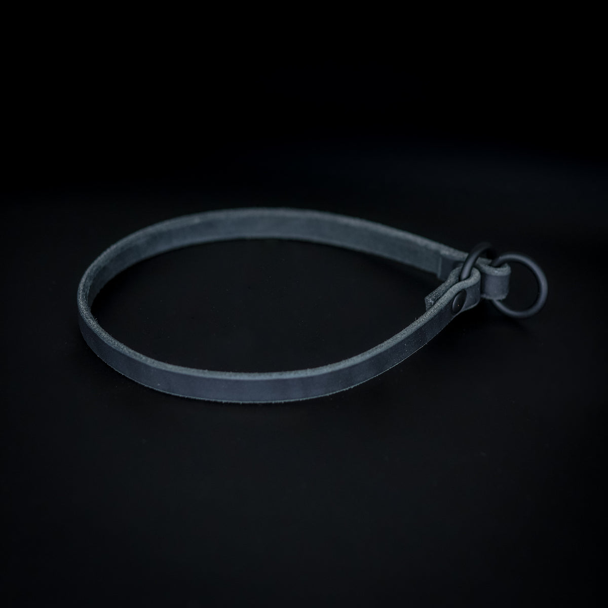 Leather Slip Collar