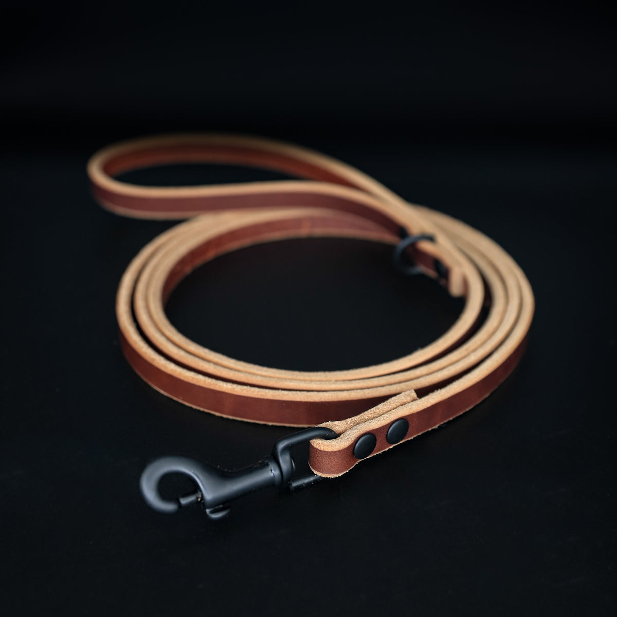 The Everyday Leash