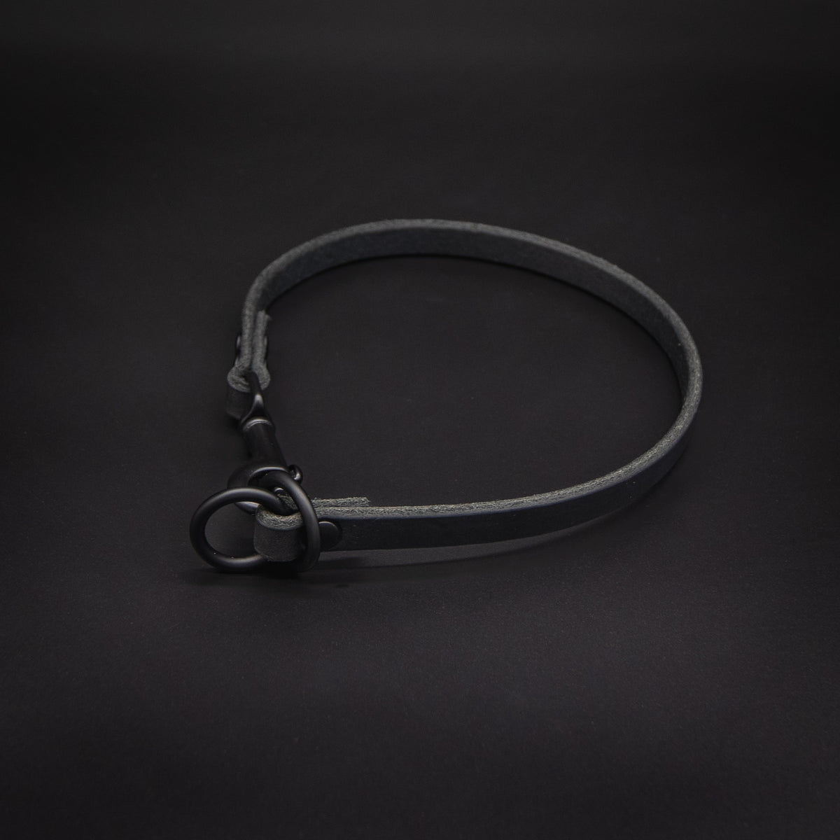 TGR Dominant Dog Collar