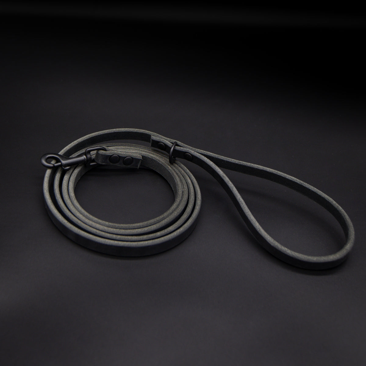 The Everyday Leash