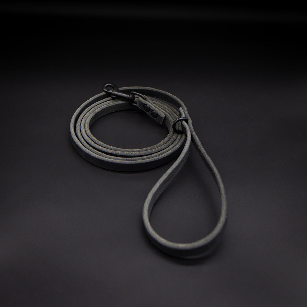 The Everyday Leash
