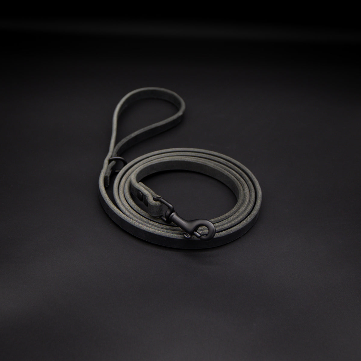 The Everyday Leash