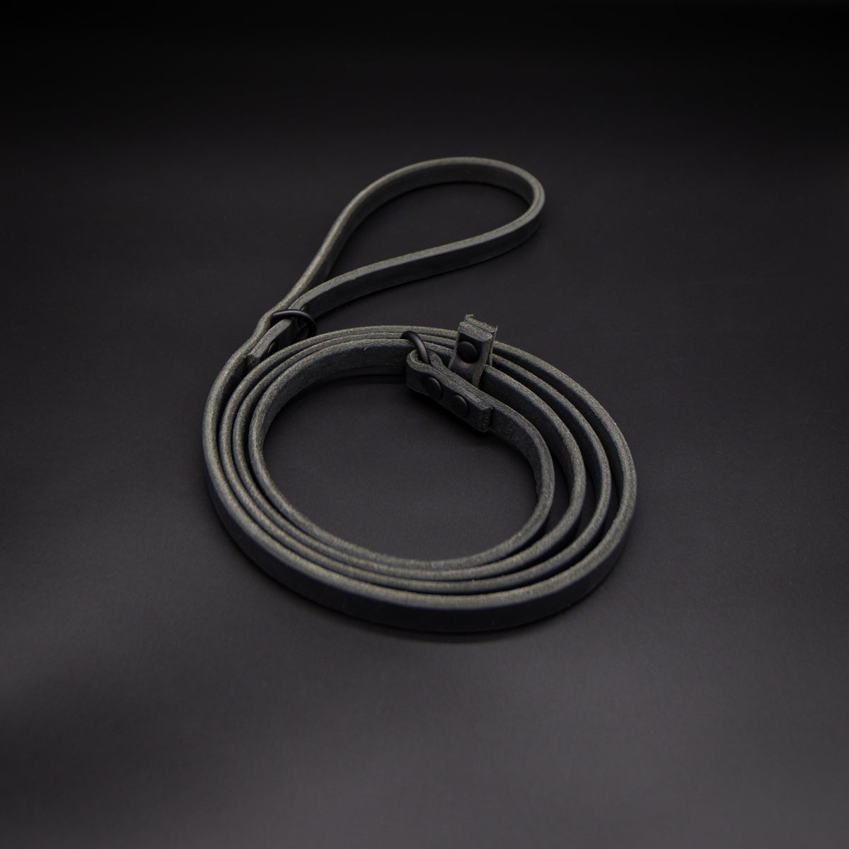 The Slip Leash