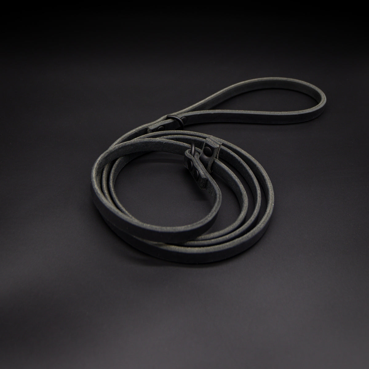 The Slip Leash