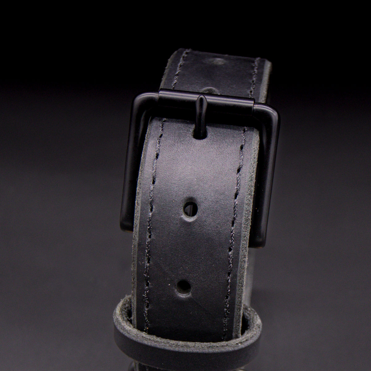 1.5" Black Latigo Collar