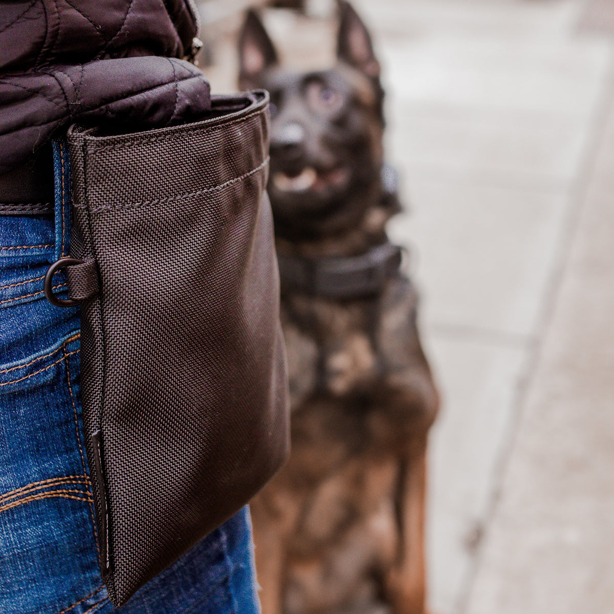 Black Ballistic Nylon Treat Pouch