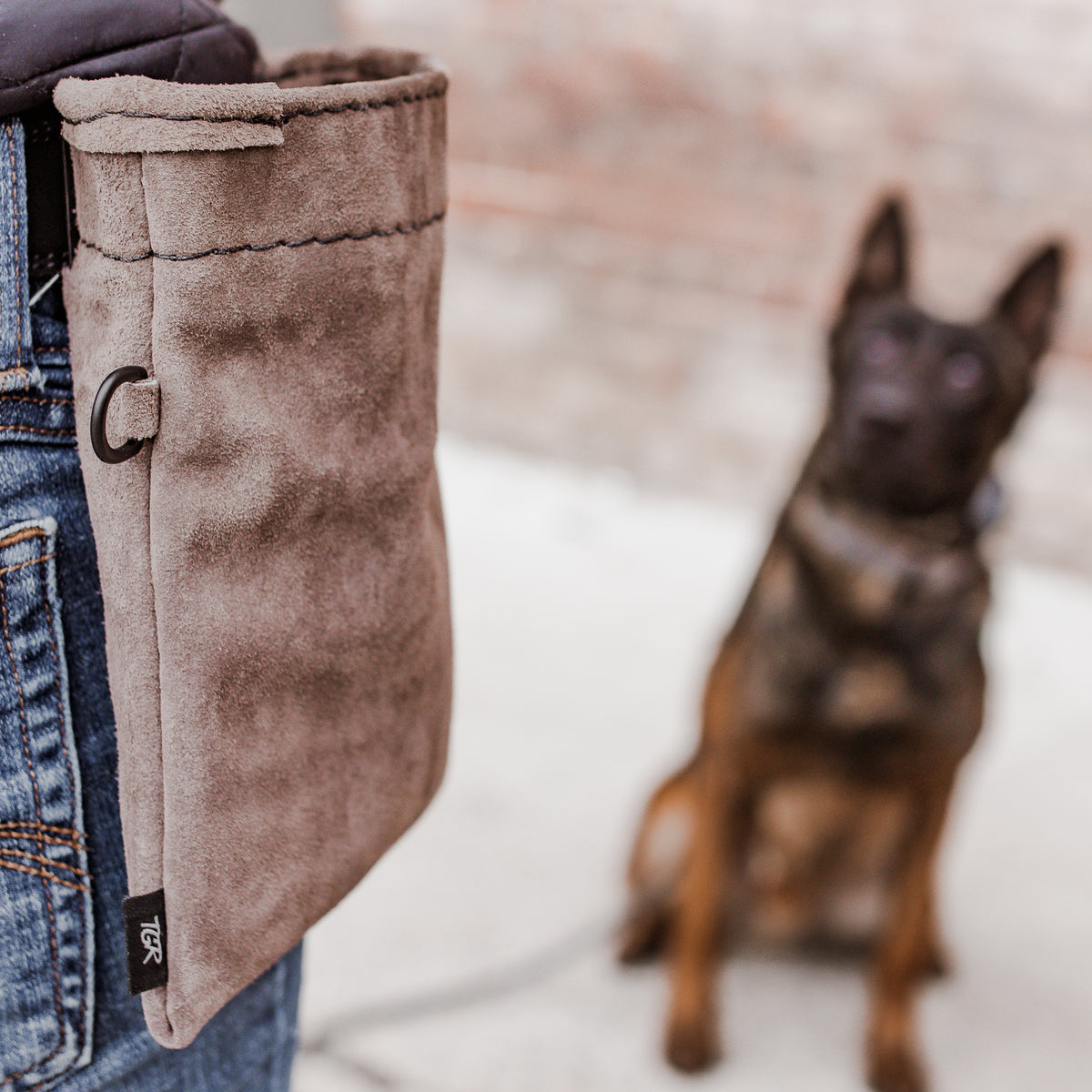 Wolf Grey Leather Treat Pouch
