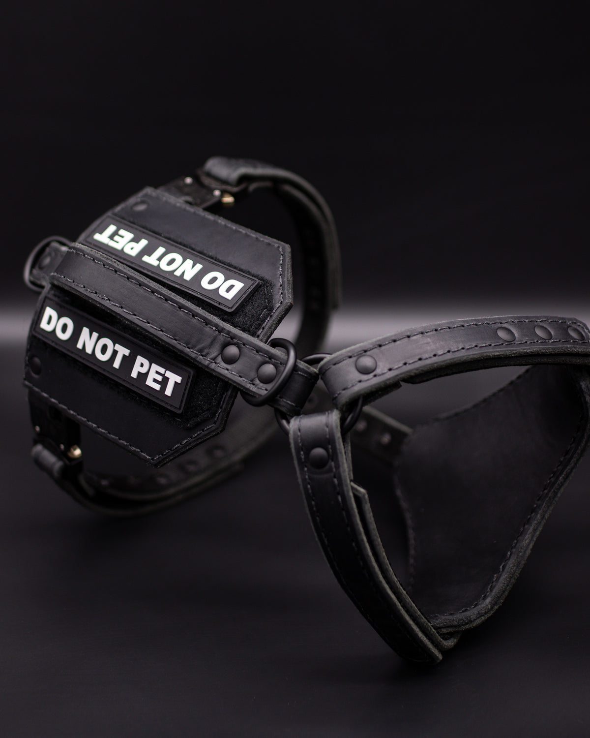 The Renegade Harness V2