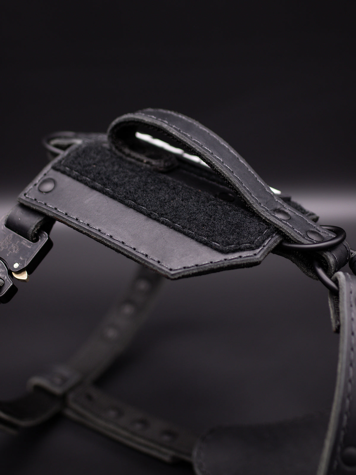 The Renegade Harness V2