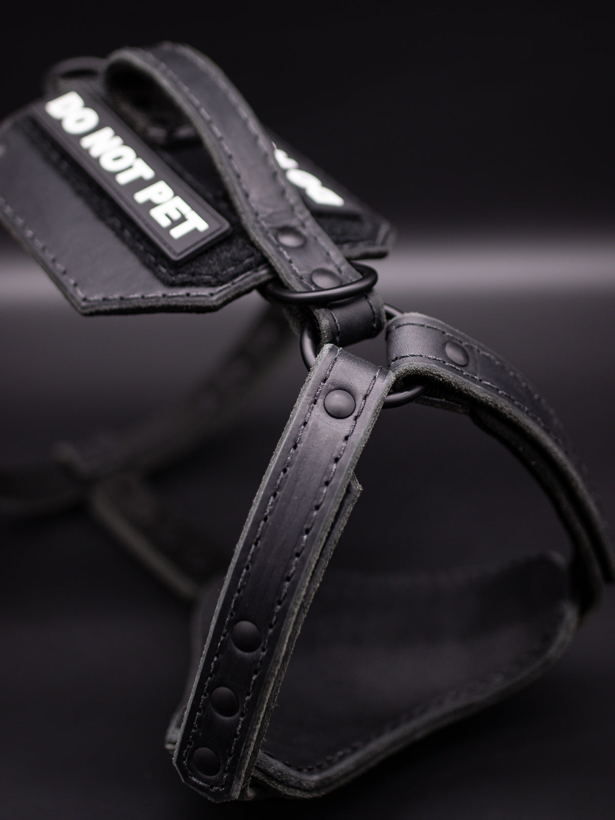 The Renegade Harness V2