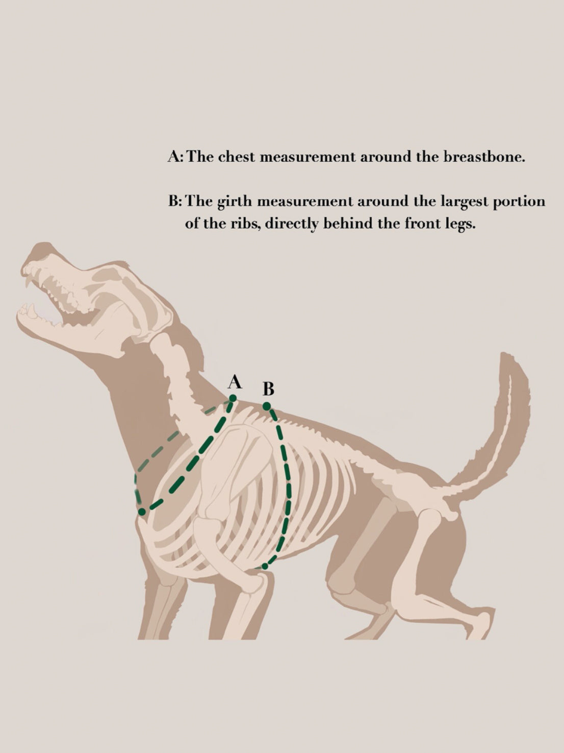 The Renegade Harness V2