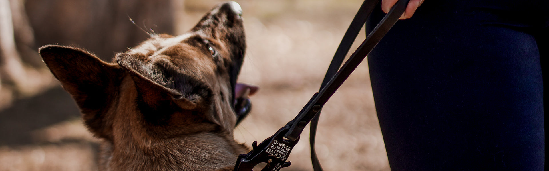 Dog Leashes – The Golden Ranch