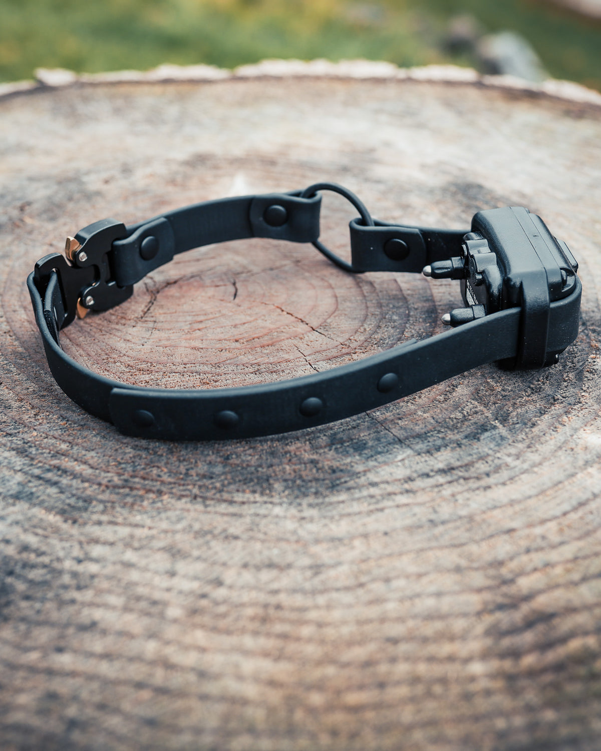 TGR 3/4" E-Collar Strap