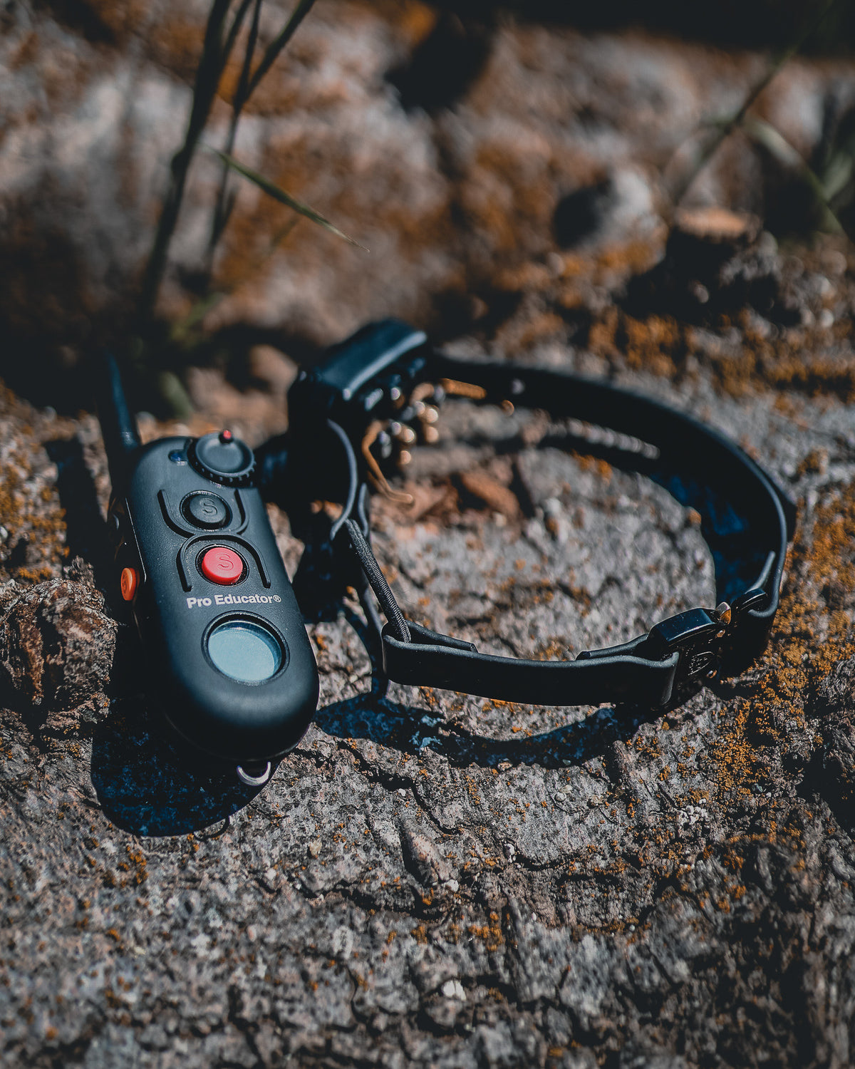 TGR 3/4" E-Collar Strap