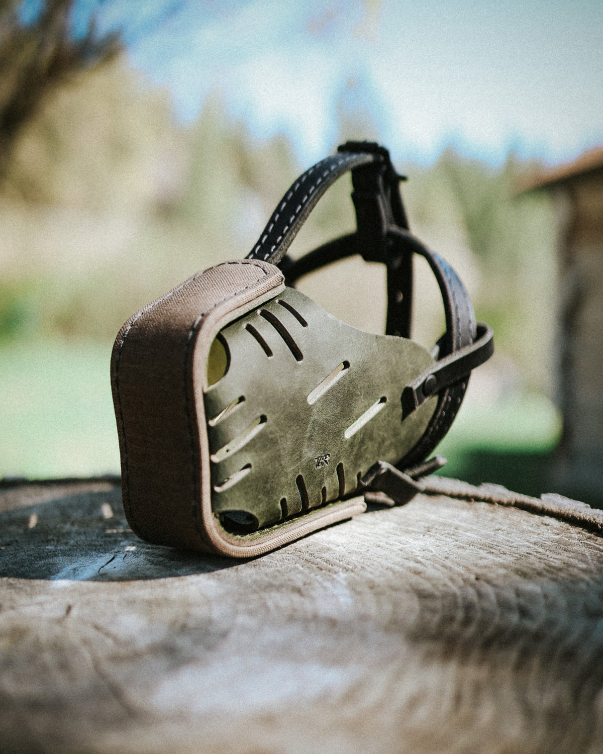 Tan and Green Wrapped Dog Muzzle