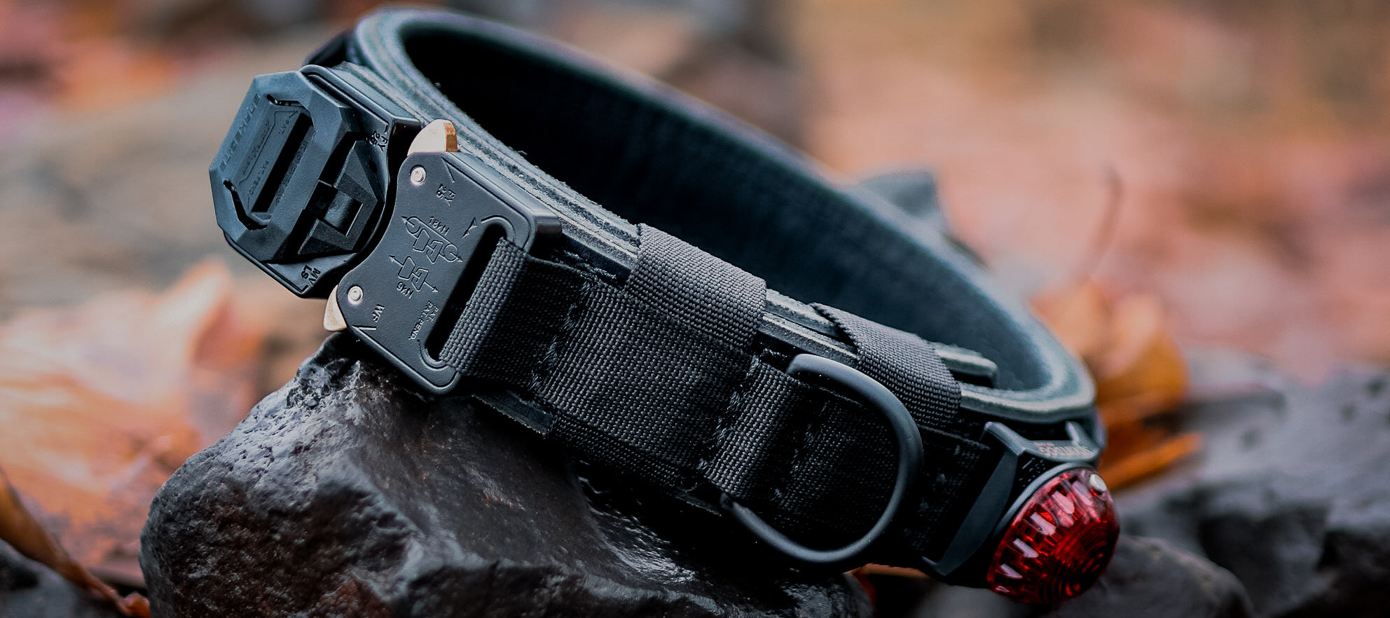 The Golden Ranch LLC