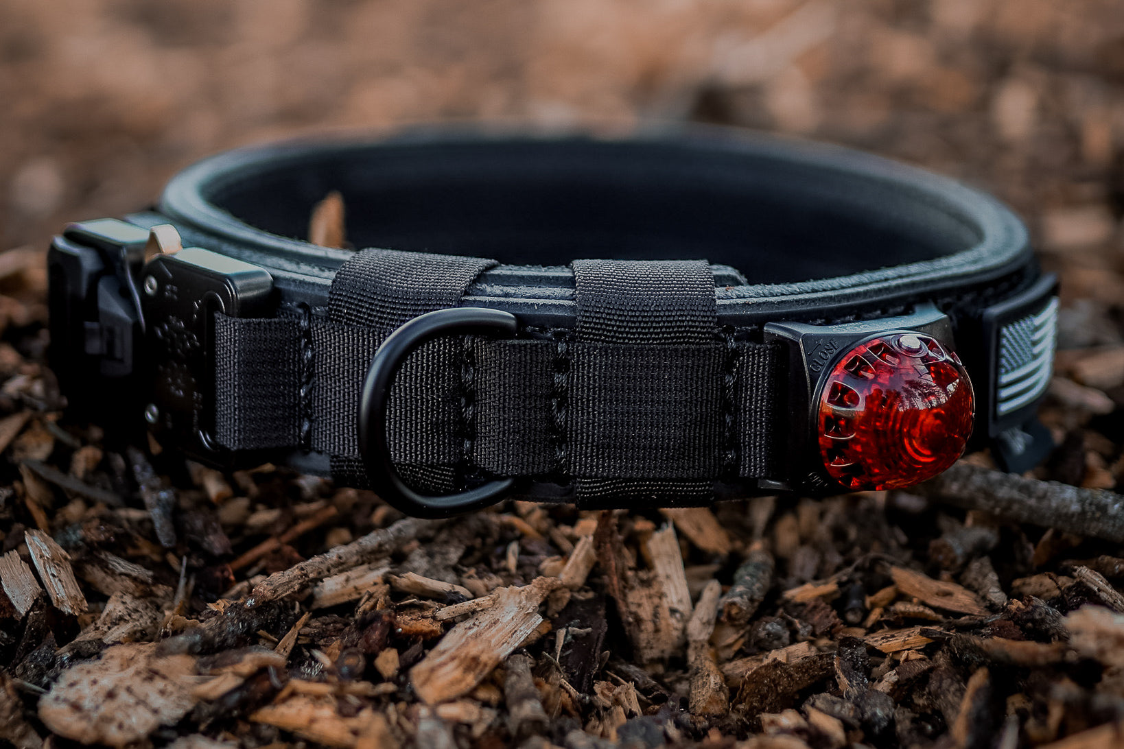 The Golden Ranch LLC