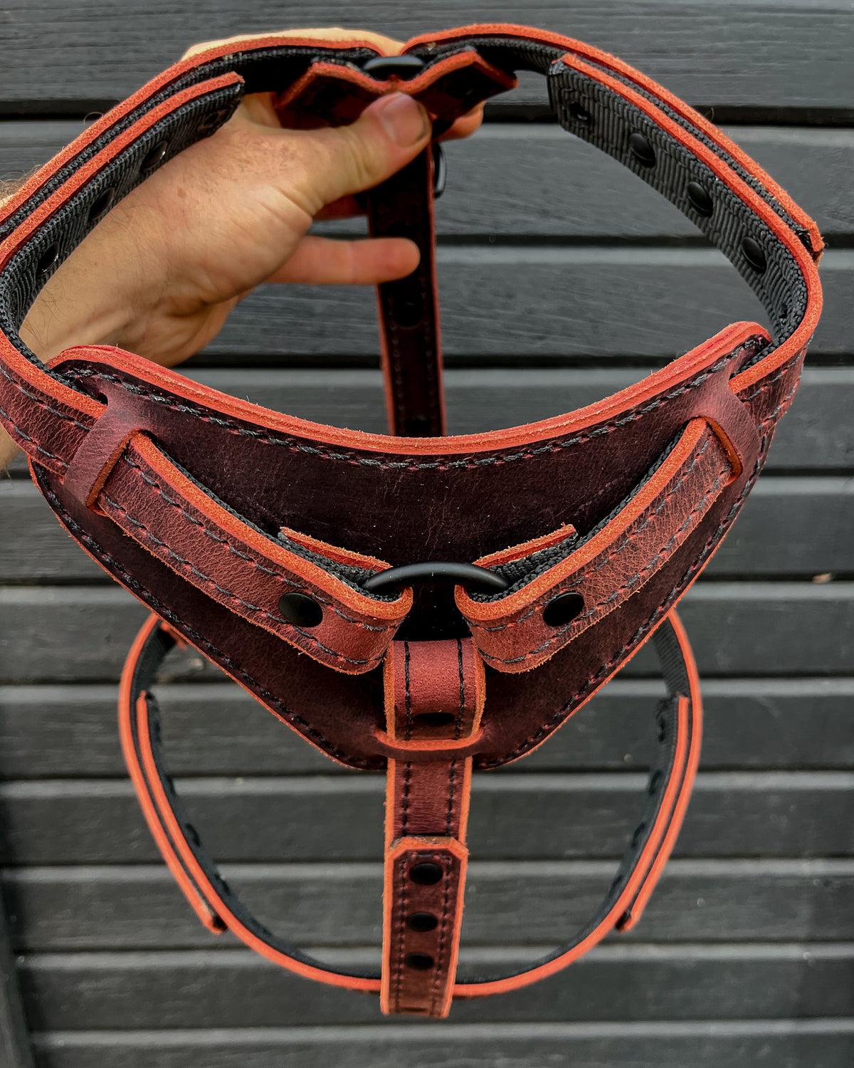 The OxBlood Renegade Harness