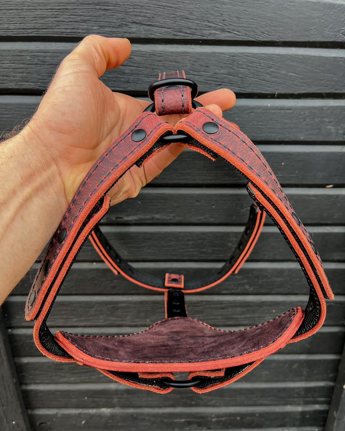 The OxBlood Renegade Harness