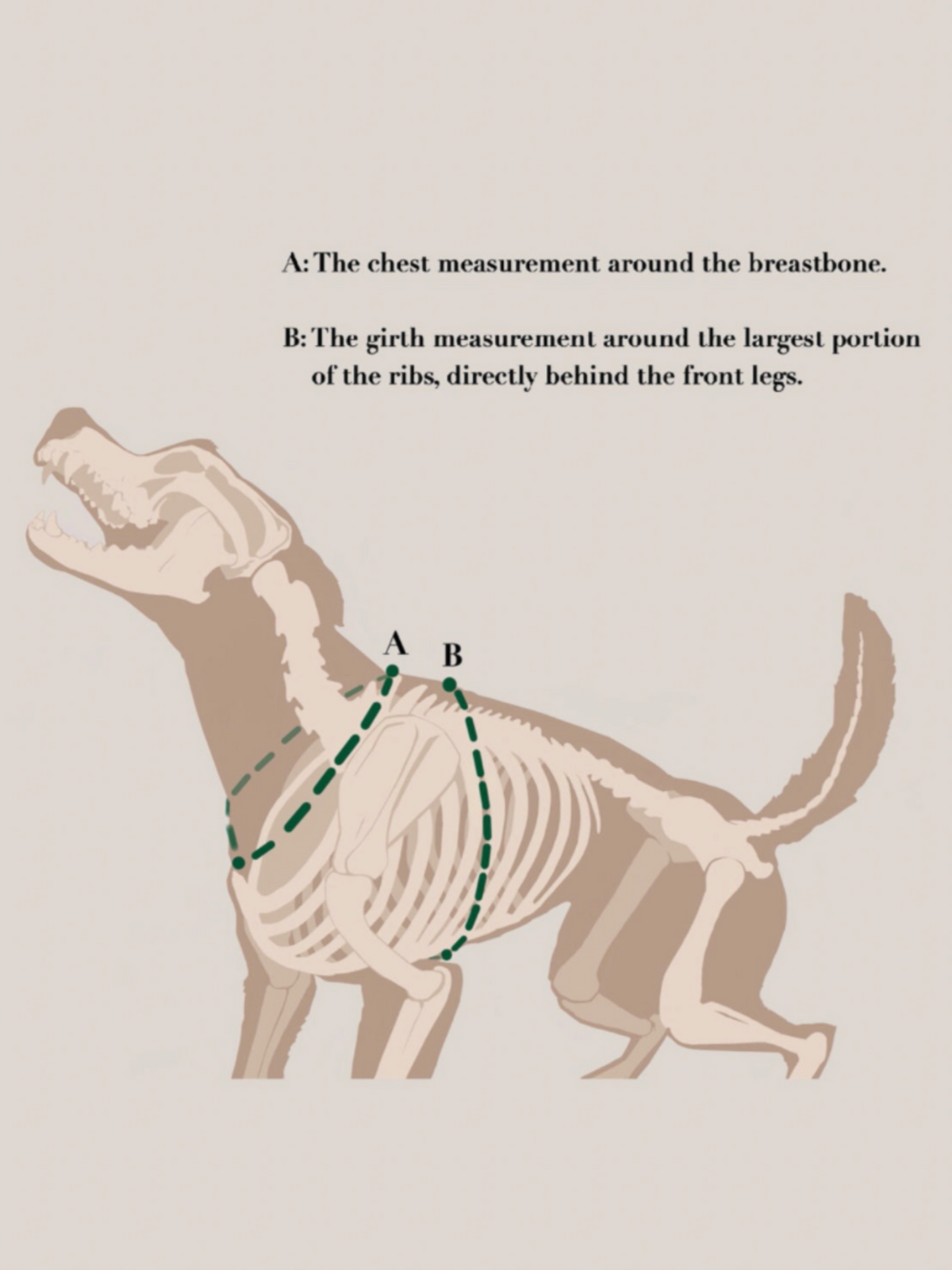 The Renegade Harness