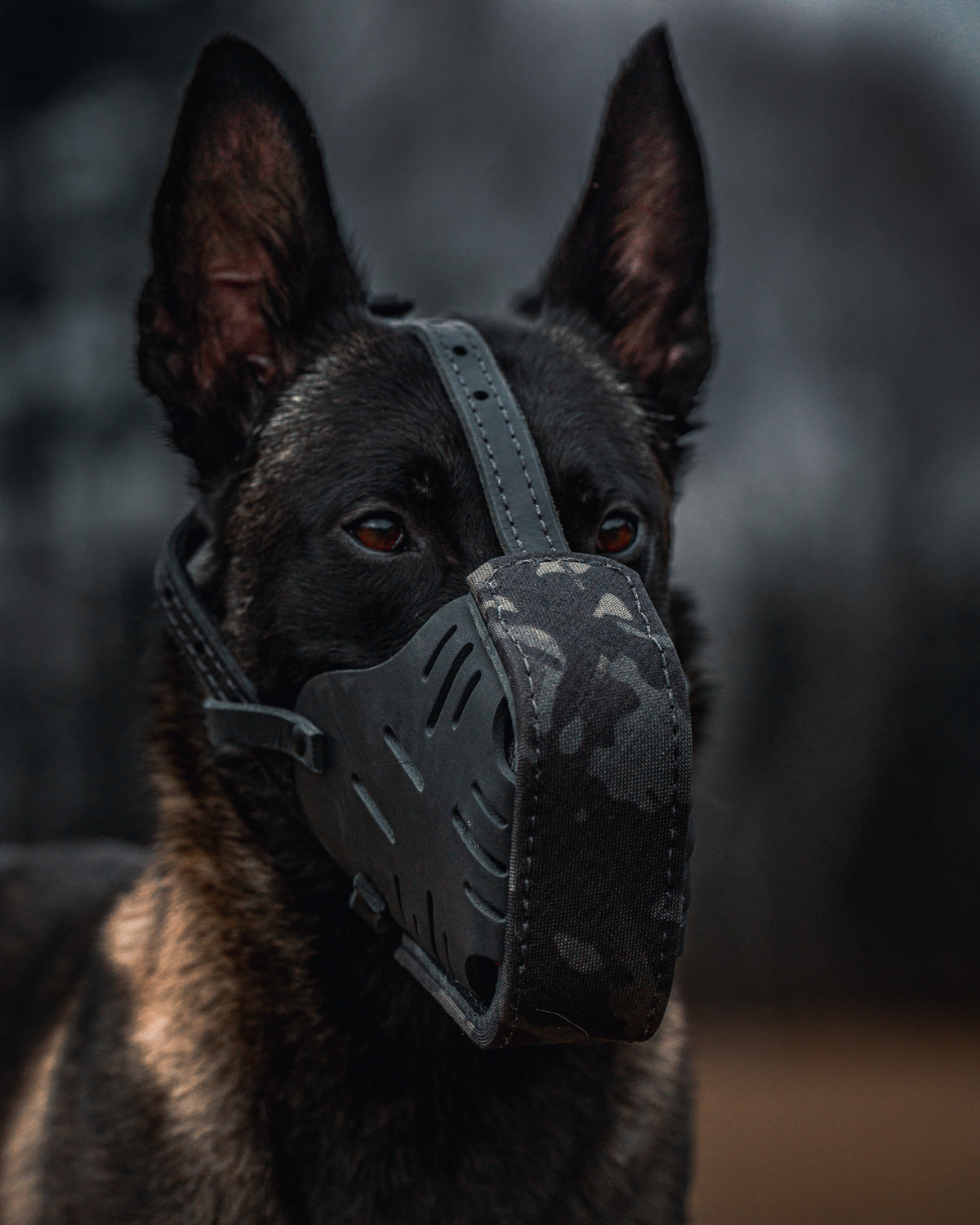 Black Multicam Cordura Wrapped Dog Muzzle