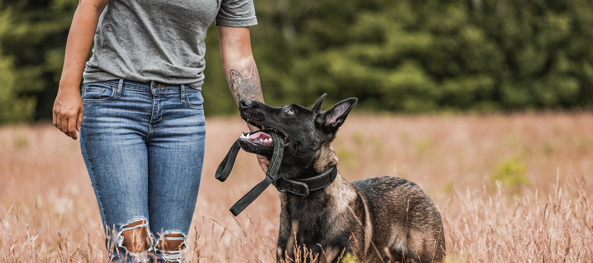 The Golden Ranch LLC