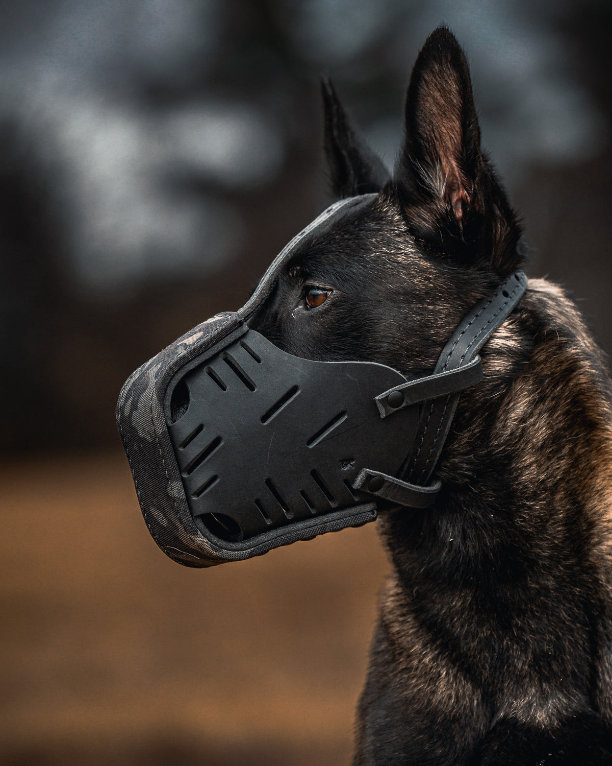 Black Multicam Cordura Wrapped Dog Muzzle