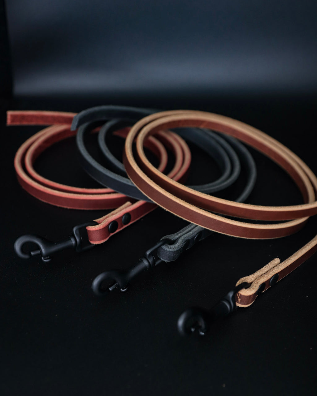 PSA Leather Leash – The Golden Ranch