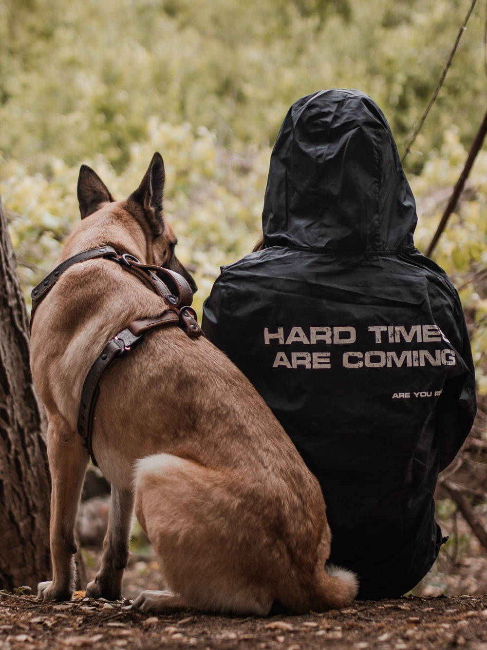 Products – The Golden Ranch