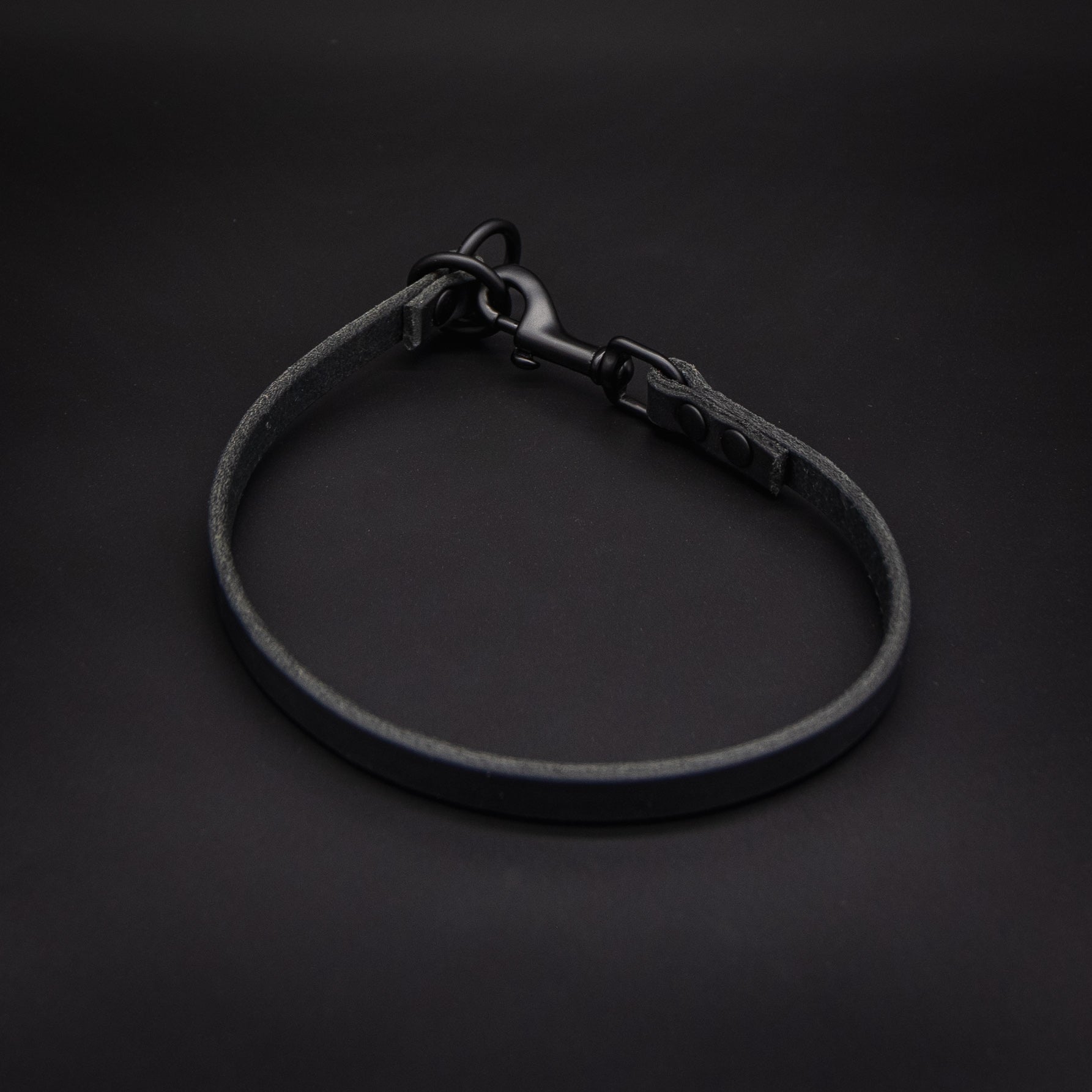 TGR Dominant Dog Collar