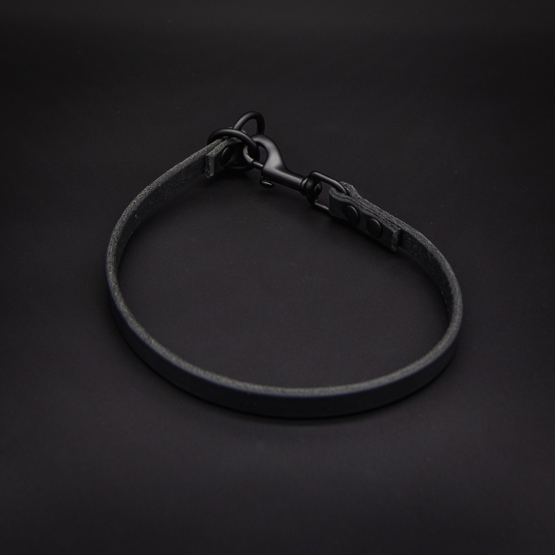 Dobernut Dominant Dog Collar – French Ring Sport Style With Handle, Black, Size M