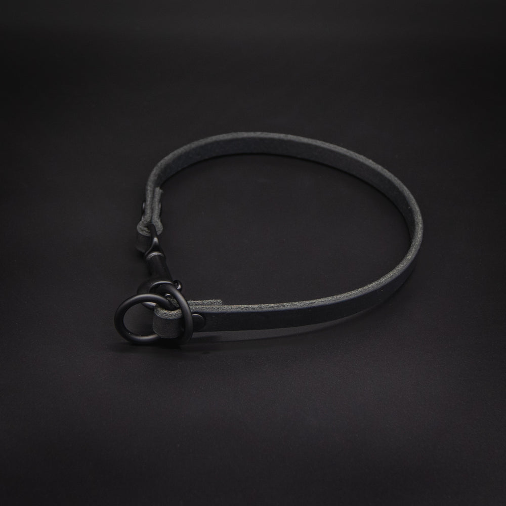 Dog Collars – The Golden Ranch