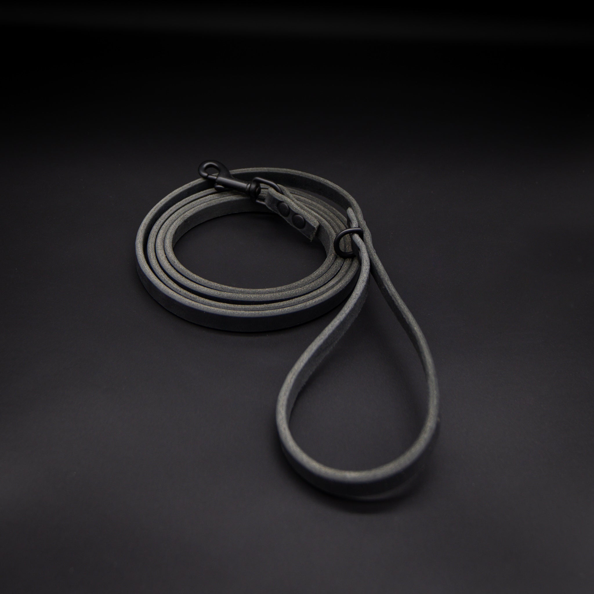 The Everyday Leash – The Golden Ranch