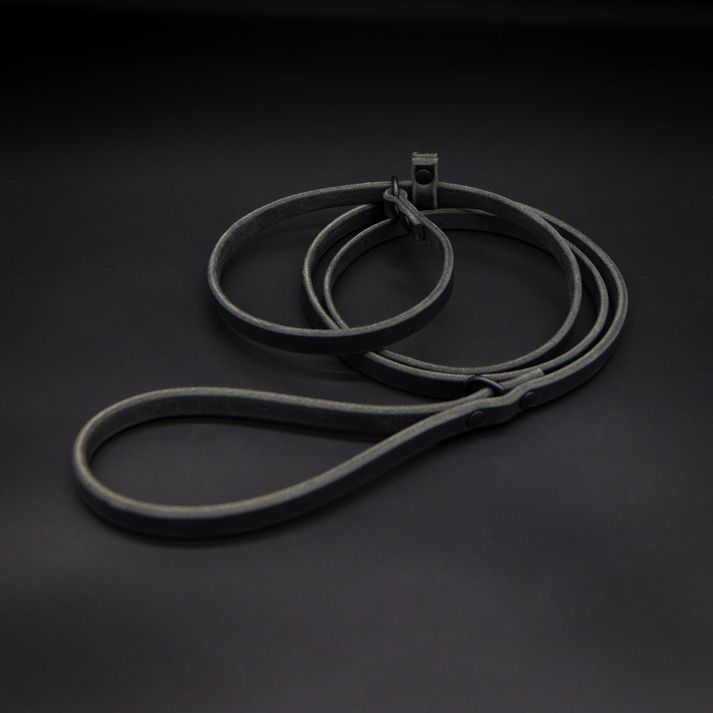 The Slip Leash – The Golden Ranch