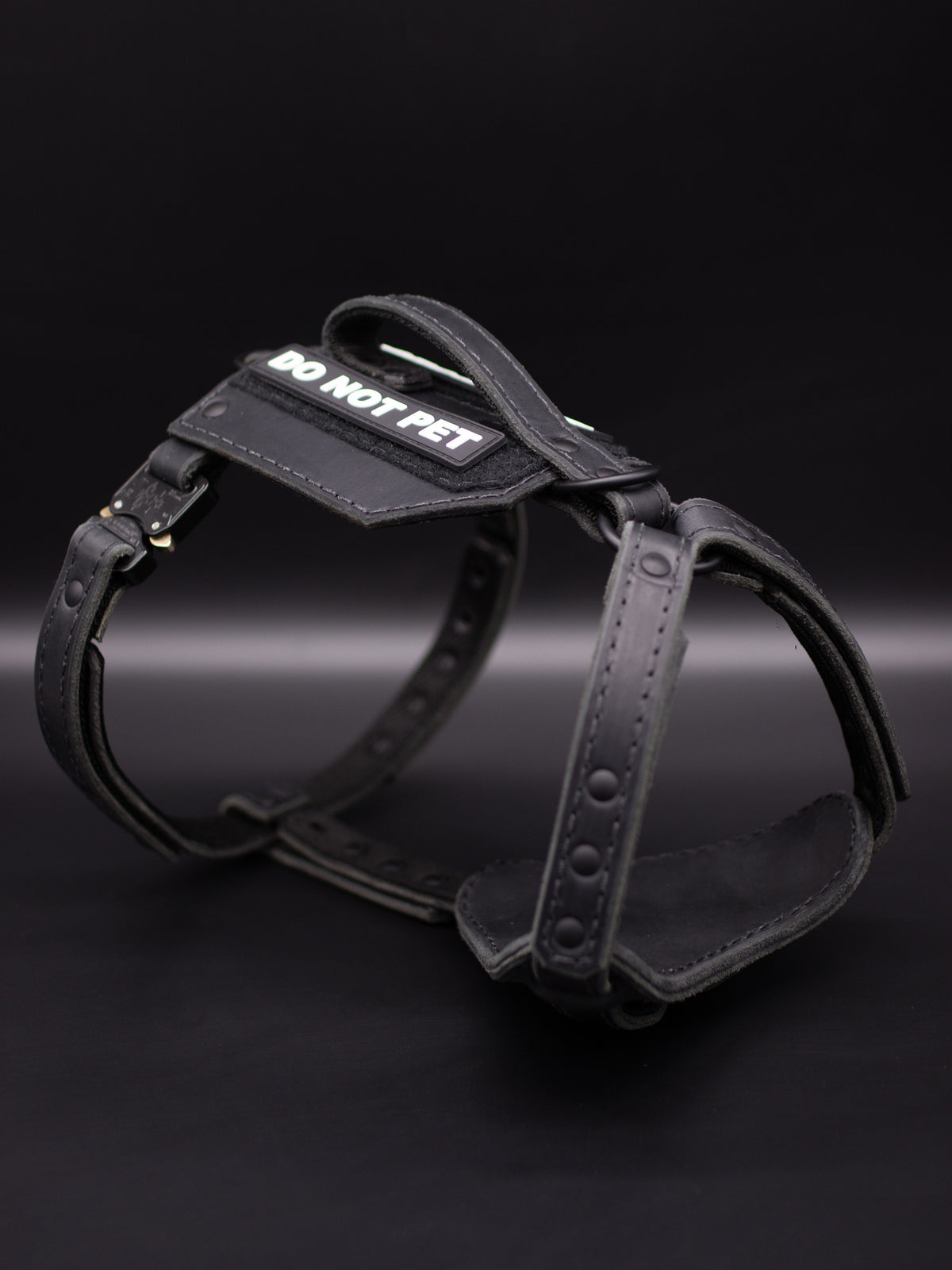 The Renegade Harness V2