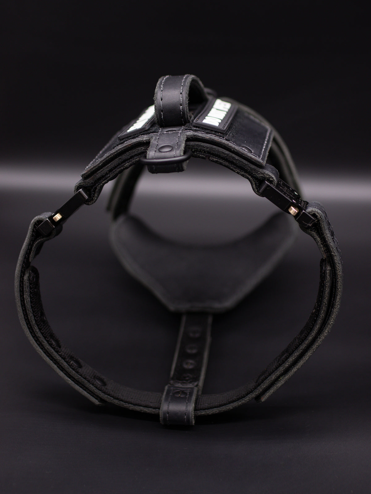 The Renegade Harness V2