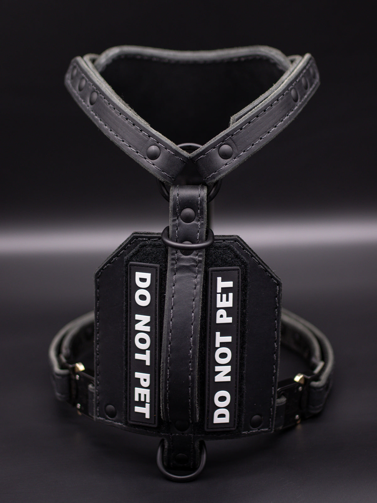 The Renegade Harness V2
