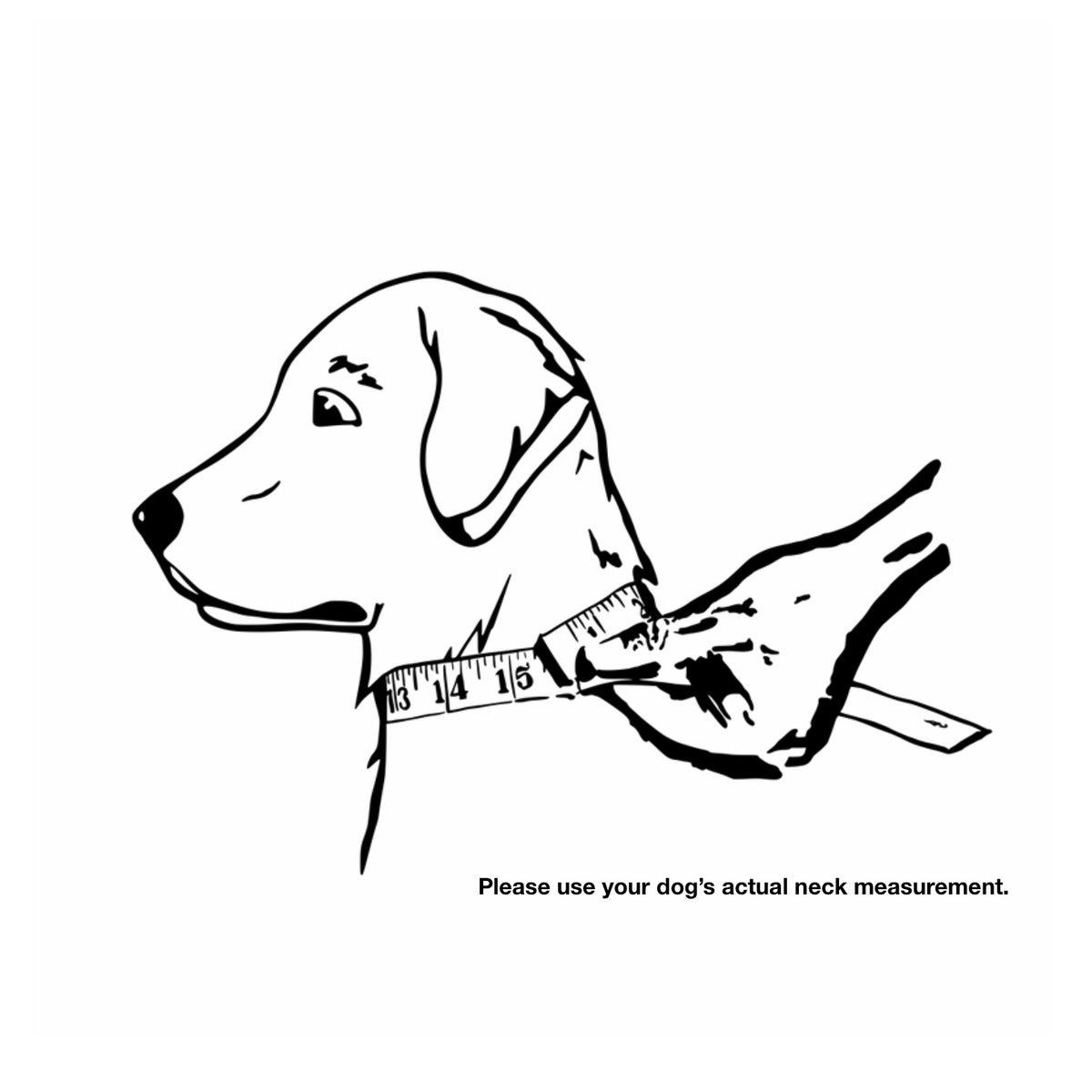 The 1.5" Agitation Dog Collar with Handle